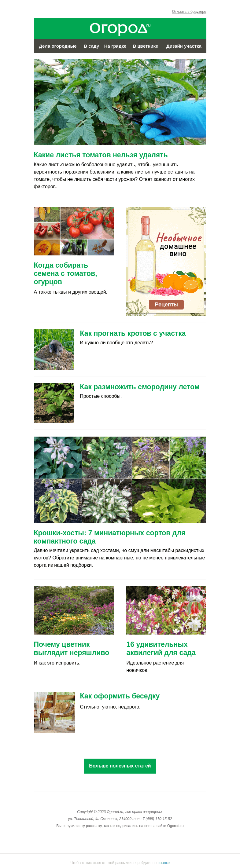 Письмо компании «Огород.ru» на тему «На Огород.ru: какие листья томатов нельзя обрезать и мини-сорта хост»