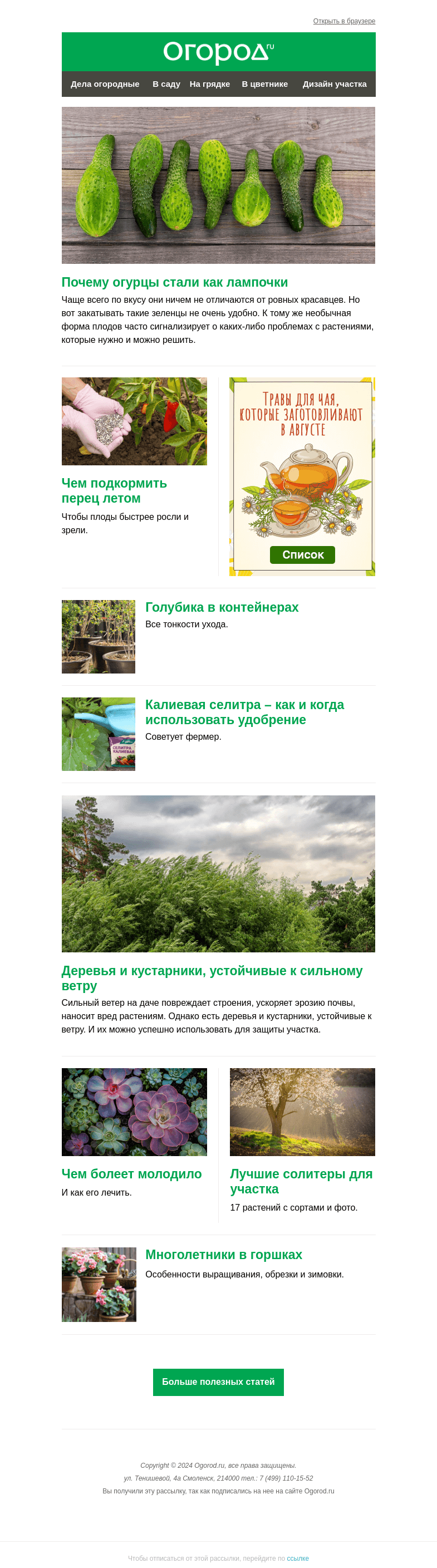 Письмо компании «Огород.ru» на тему «На Огород.ru: огурцы как лампочки и устойчивые к ветру деревья»