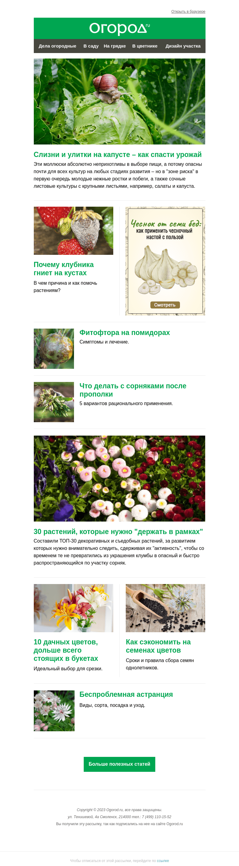 Письмо компании «Огород.ru» на тему «На Огород.ru: фитофтора на помидорах и как сэкономить на семенах цветов»
