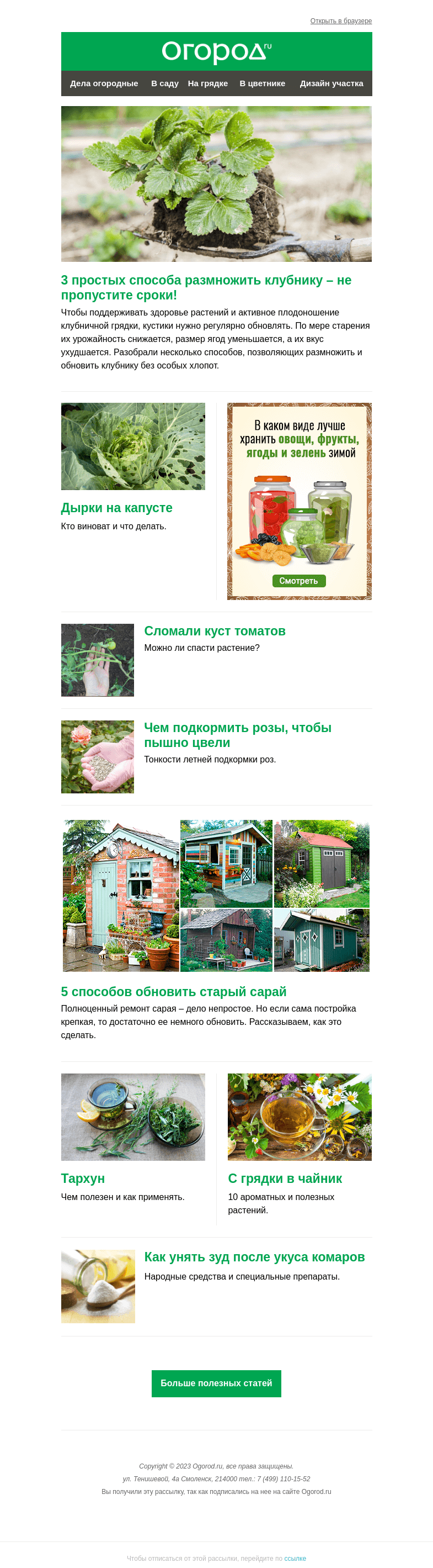 Письмо компании «Огород.ru» на тему «На Огород.ru: 3 способа размножить клубнику и что делать со сломанным кустом томата»