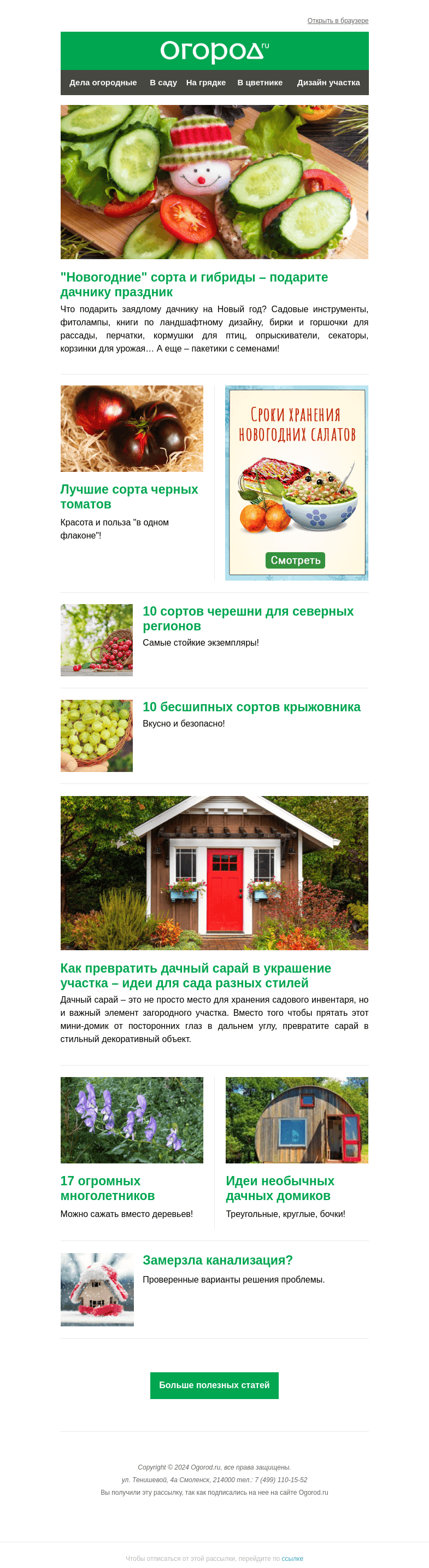 Письмо компании «Огород.ru» на тему «На Огород.ru: новогодние сорта овощей и как быстро разморозить трубы»