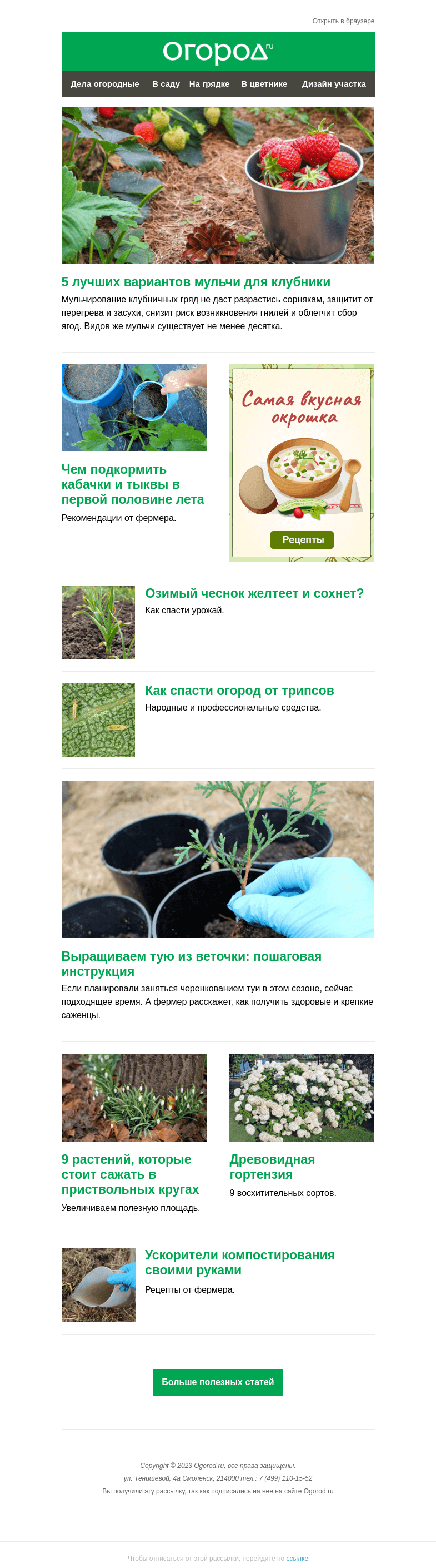 Письмо компании «Огород.ru» на тему «На Огород.ru: как вырастить тую из веточки и почему желтеет чеснок»
