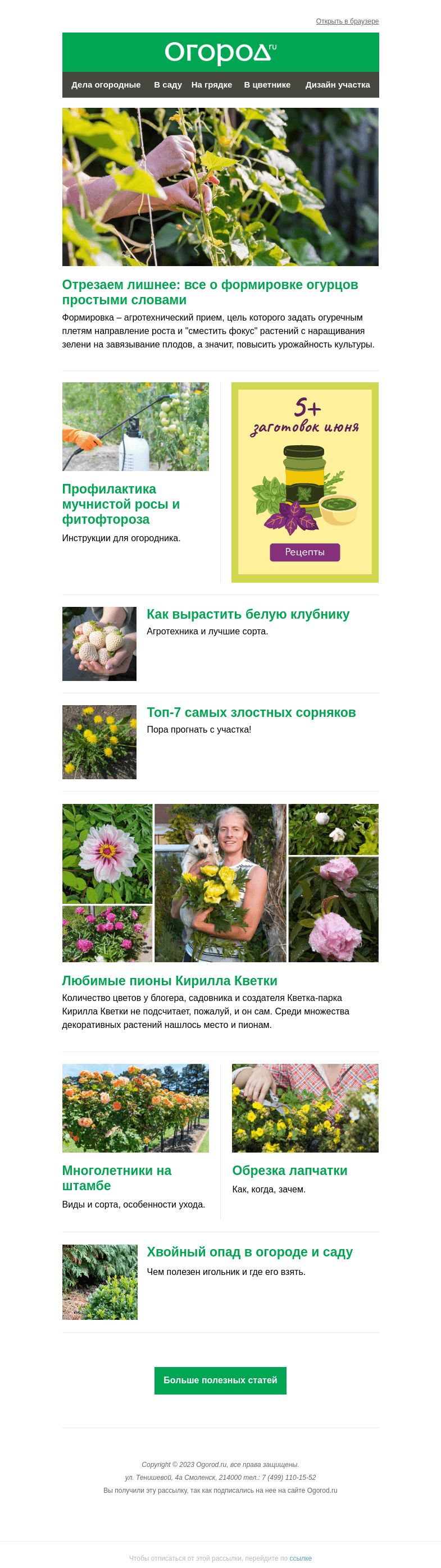 Письмо компании «Огород.ru» на тему «На Огород.ru: все о формировке огурцов и профилактике фитофтороза»
