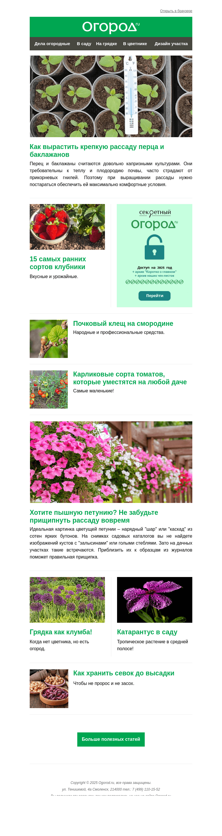 Письмо компании «Огород.ru» на тему «На Огород.ru: прищипка рассады петунии и сорта ранней клубники»