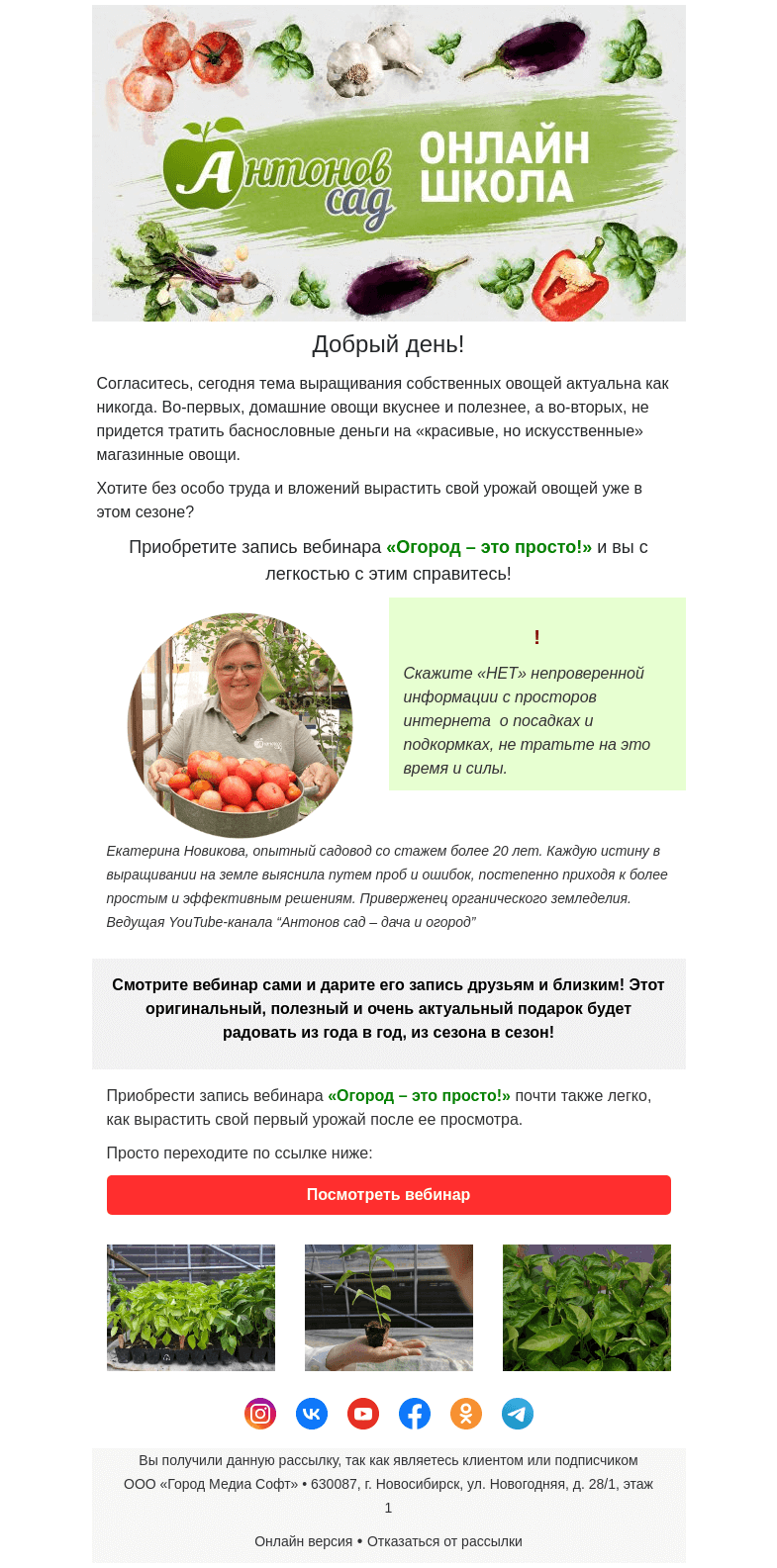 Письмо компании «Antonov» на тему «🤚Перестаем тратить деньги на магазинные овощи»