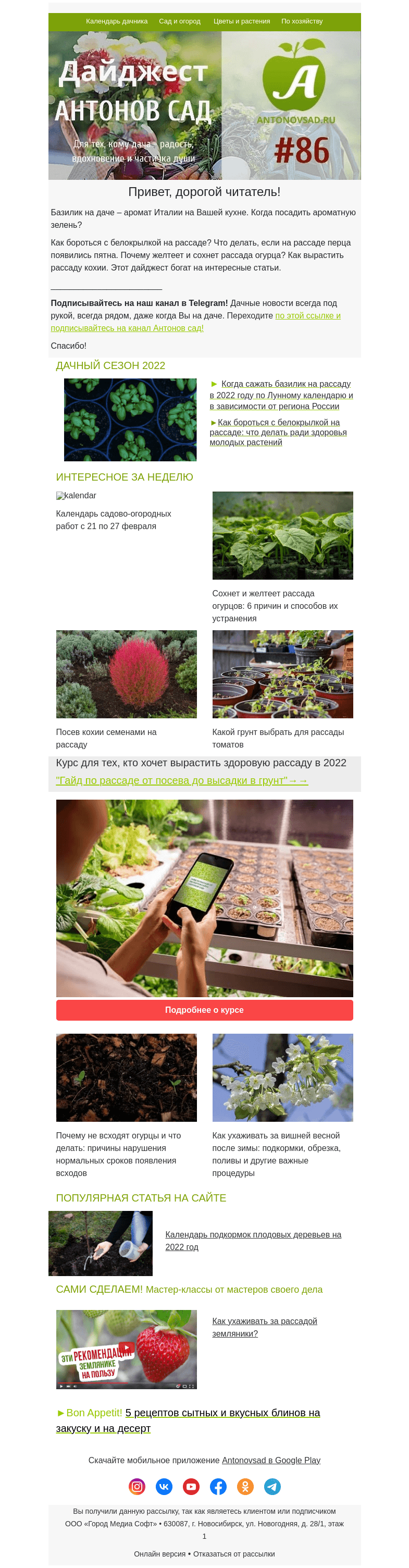 Письмо компании «Antonov» на тему «🌱Когда посадить базилик? 🌱Белокрылка на рассаде🌱Сохнет рассада огурцов»
