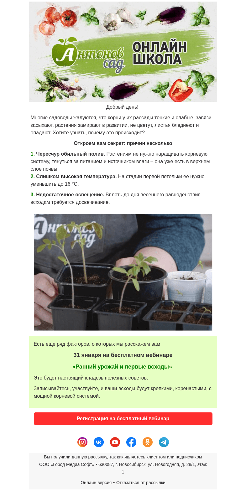 Письмо компании «Antonov» на тему «🌱Вы знаете, почему рассада формирует слабые и тонкие корни, а растения замирают в развитии?»