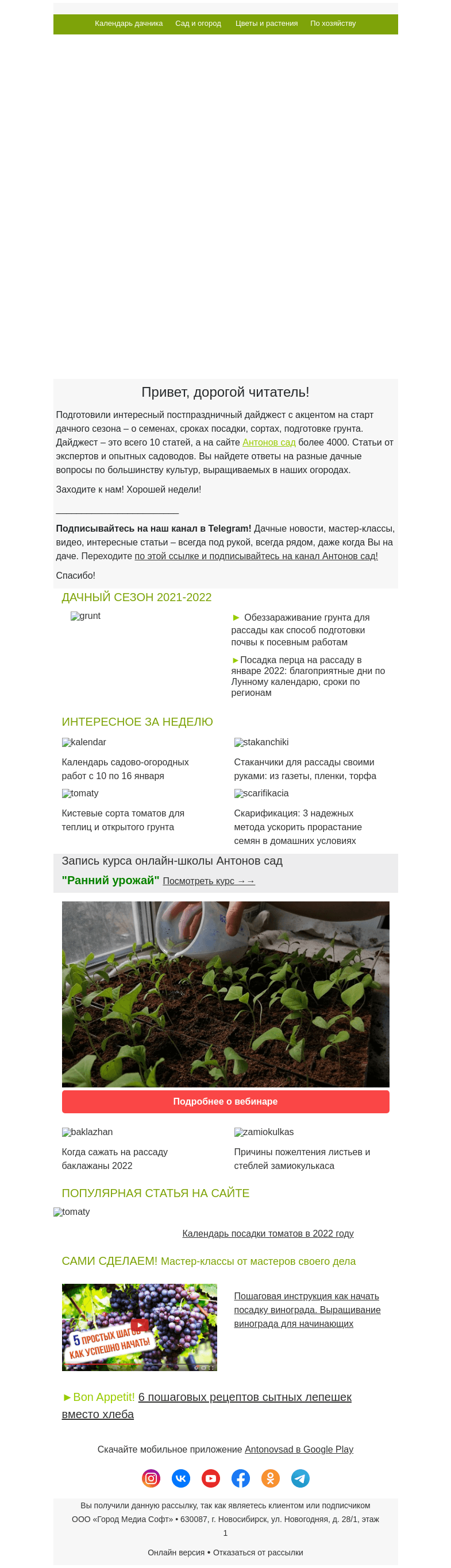 Письмо компании «Antonov» на тему «🌱Посевной дайджест для дачников и садоводов: готовимся к сезону рассады»
