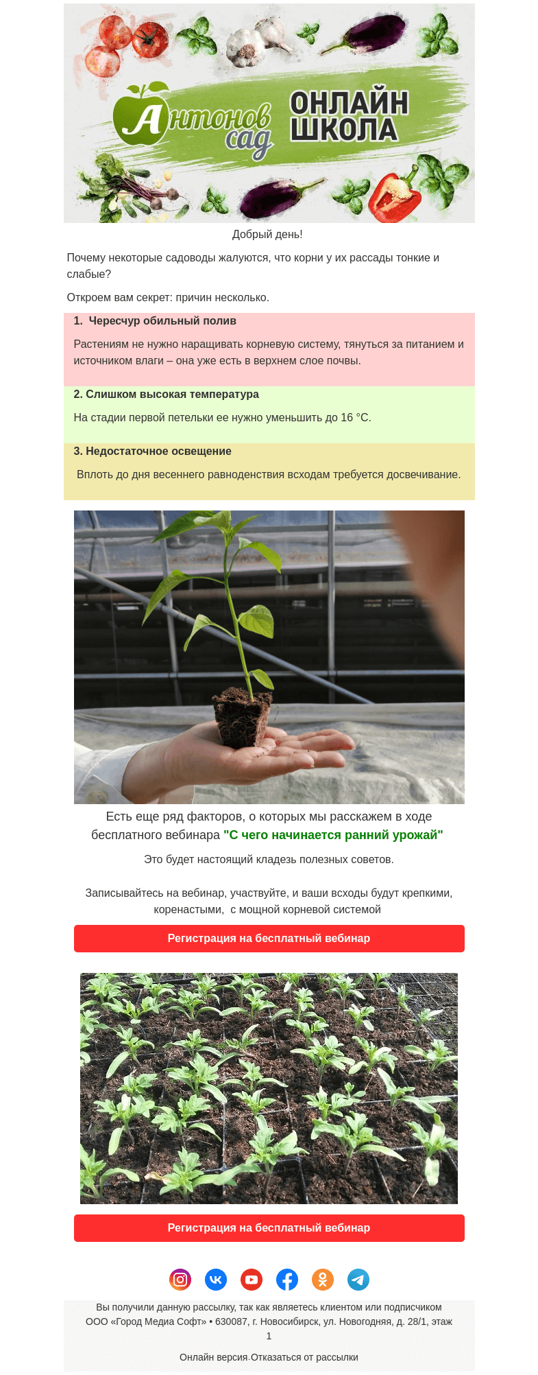 Письмо компании «Antonov» на тему «🌱Вы знаете, почему рассада формирует слабые и тонкие корни?»