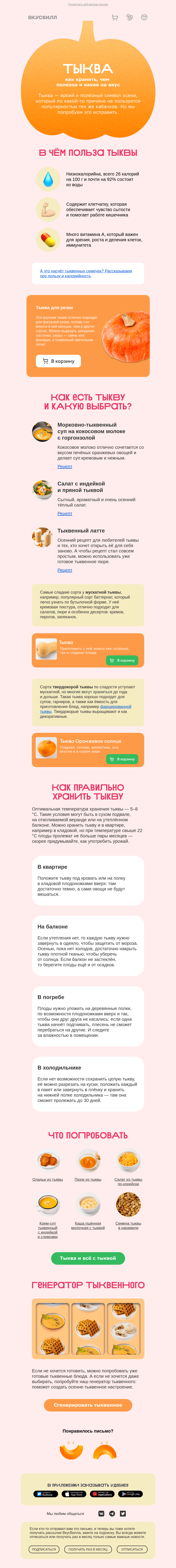 Письмо компании «ВкусВилл» на тему «Это письмо превратилось в тыкву»