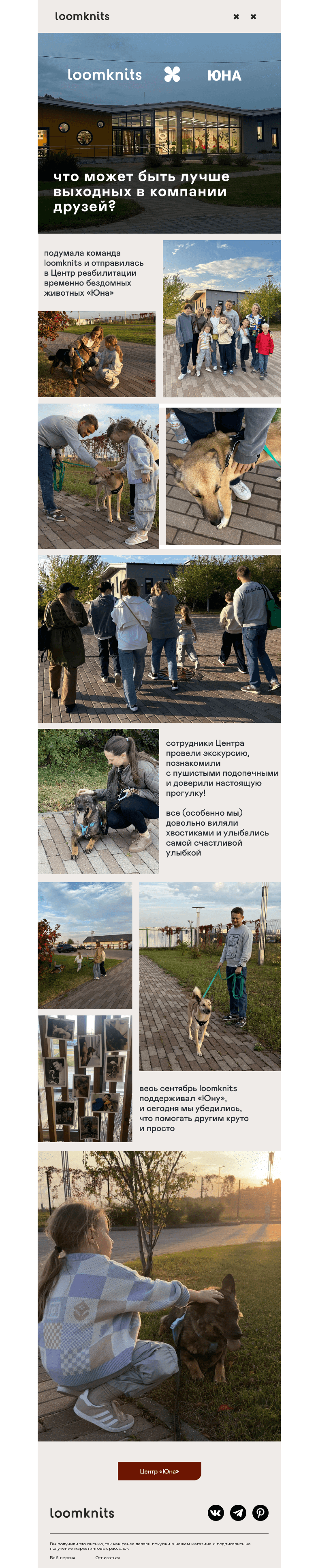 Письмо компании «loomknits» на тему «уши, лапы и хвост 🐾»