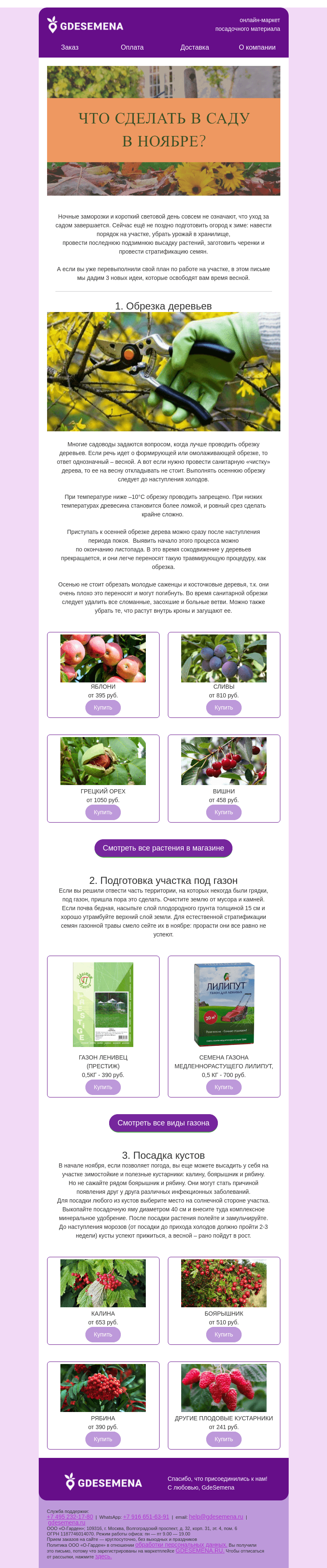 Письмо компании «GDESEMENA» на тему «Что сделать в саду в ноябре?🍂»