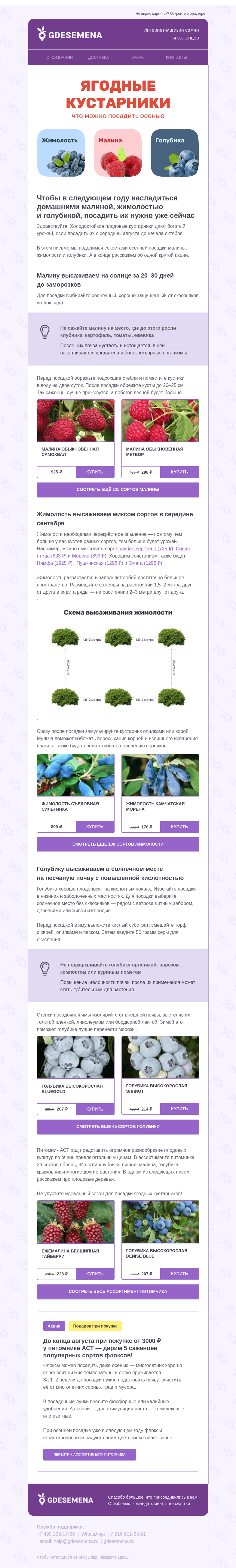 Письмо компании «GDESEMENA» на тему «Снижаем цены на ягодные кустарники»