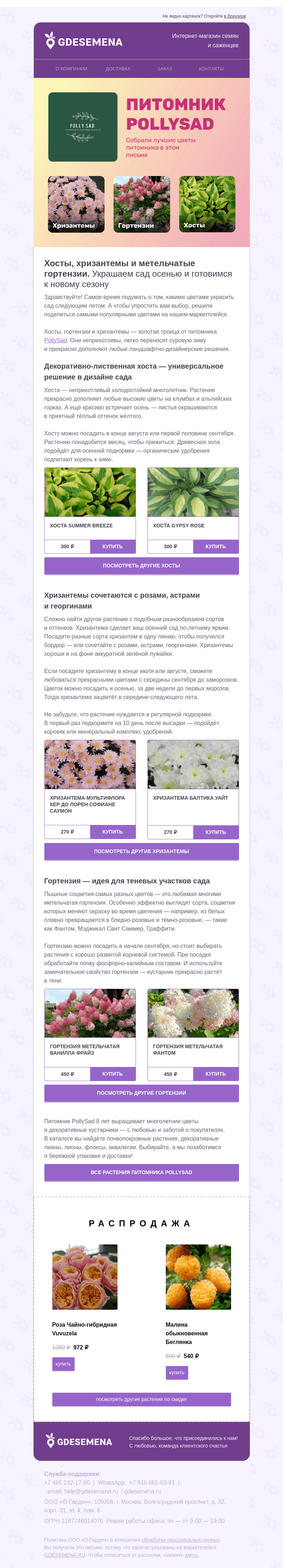 Письмо компании «GDESEMENA» на тему «Какие цветы посадить ближе к осени»