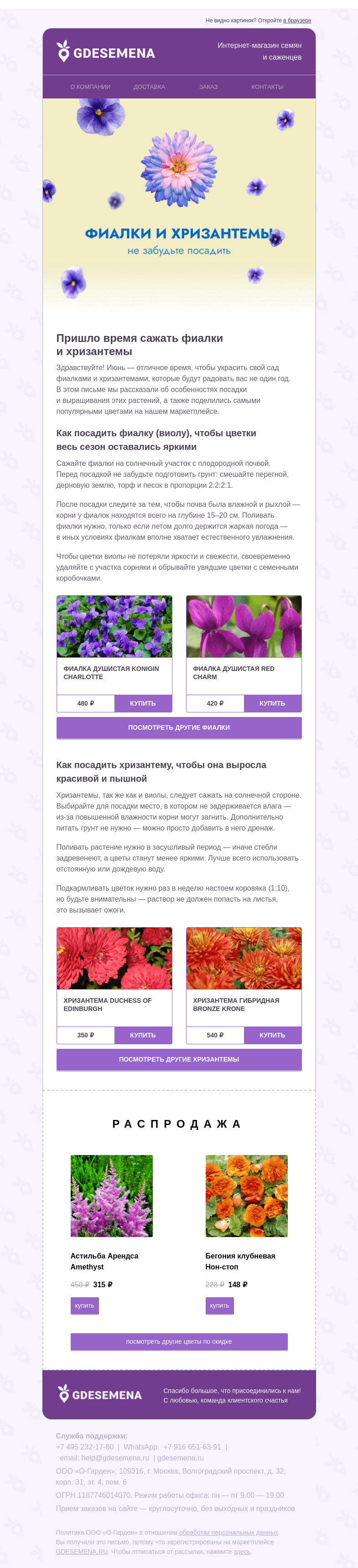 Письмо компании «GDESEMENA» на тему «Фиалки и хризантемы — высаживаем в июне»