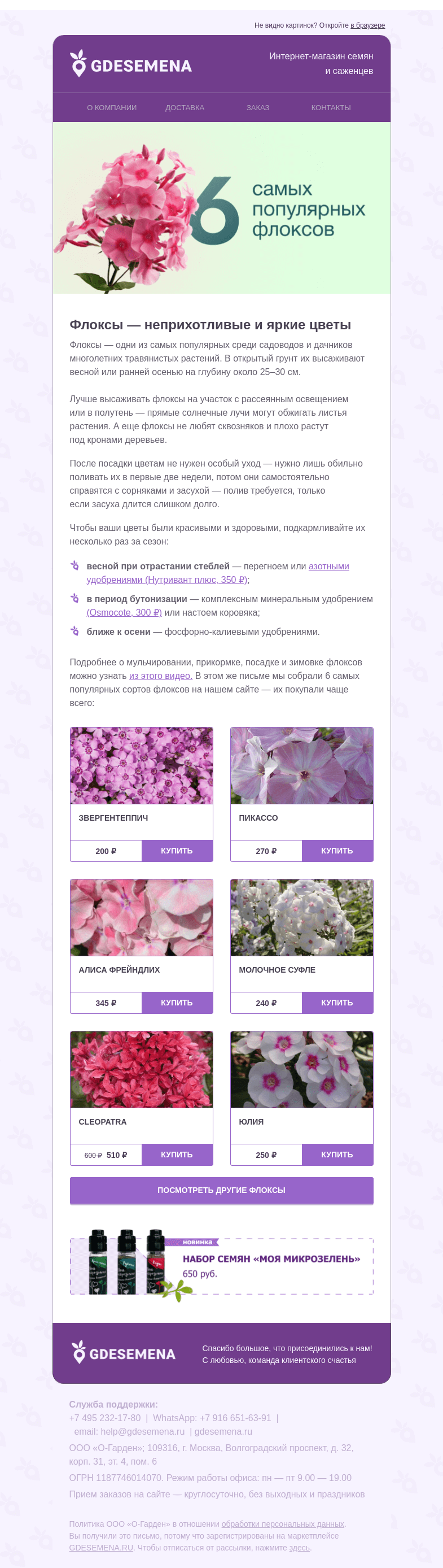 Письмо компании «GDESEMENA» на тему «Флоксы: подборка из 6 растений»