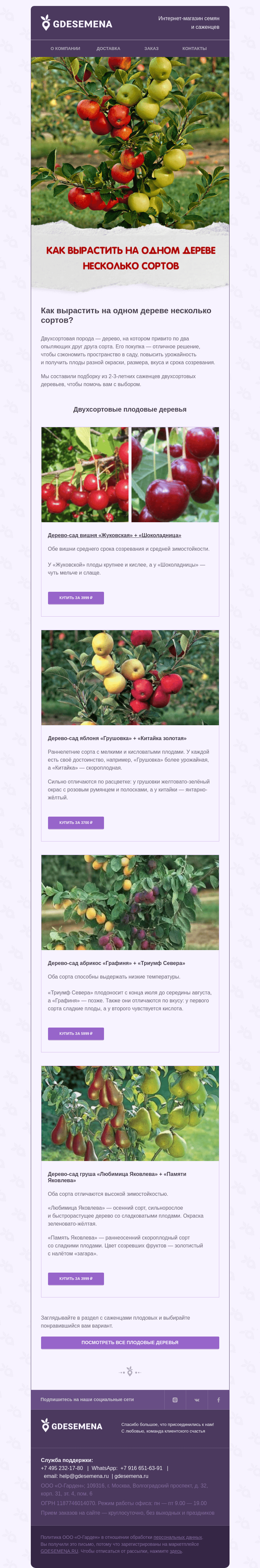 Письмо компании «GDESEMENA» на тему «Как повысить урожайность и сэкономить место в саду»