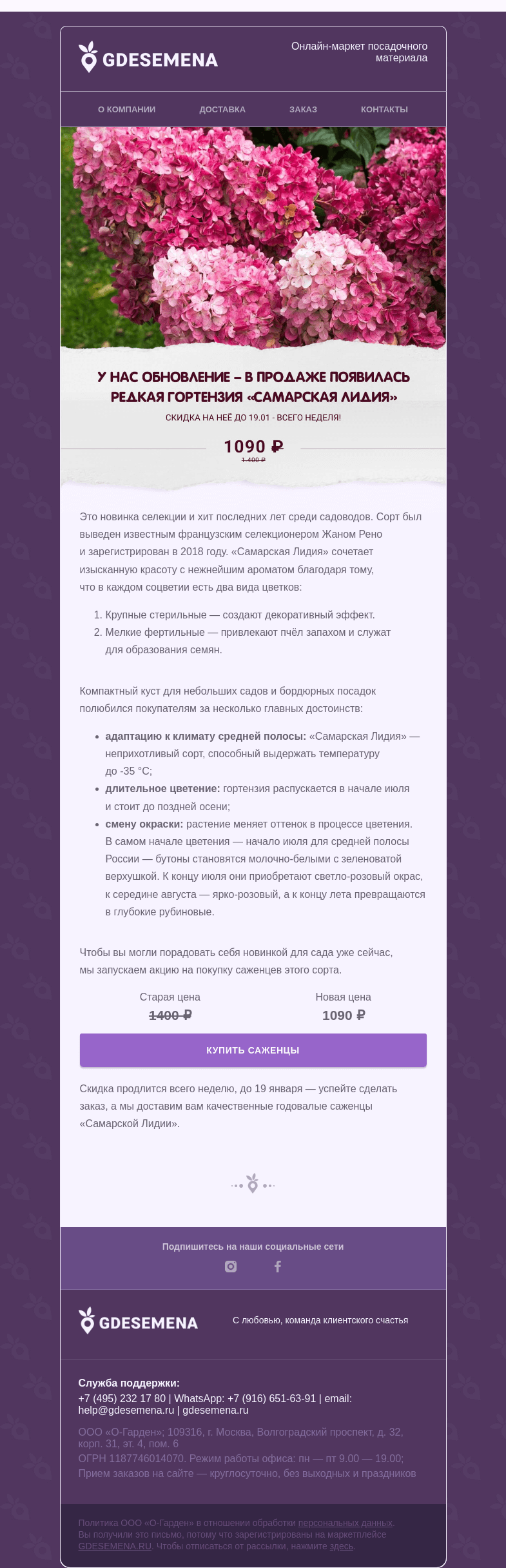 Письмо компании «GDESEMENA» на тему «Скидка на новый сорт гортензии 🌸»