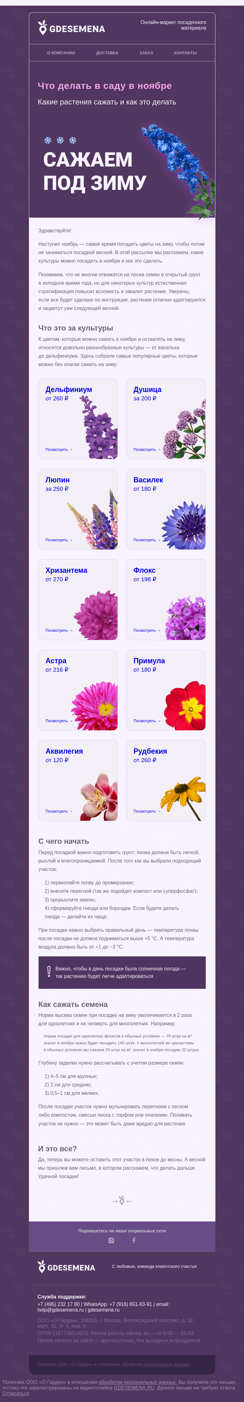 Письмо компании «GDESEMENA» на тему «Что делать в саду в ноябре»