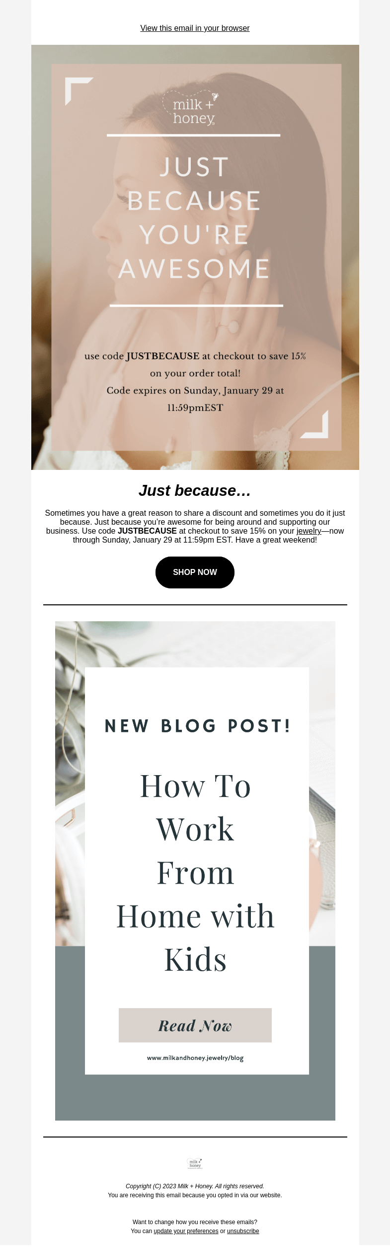 Письмо компании «Milk + Honey Jewelry» на тему «A discount just because...»