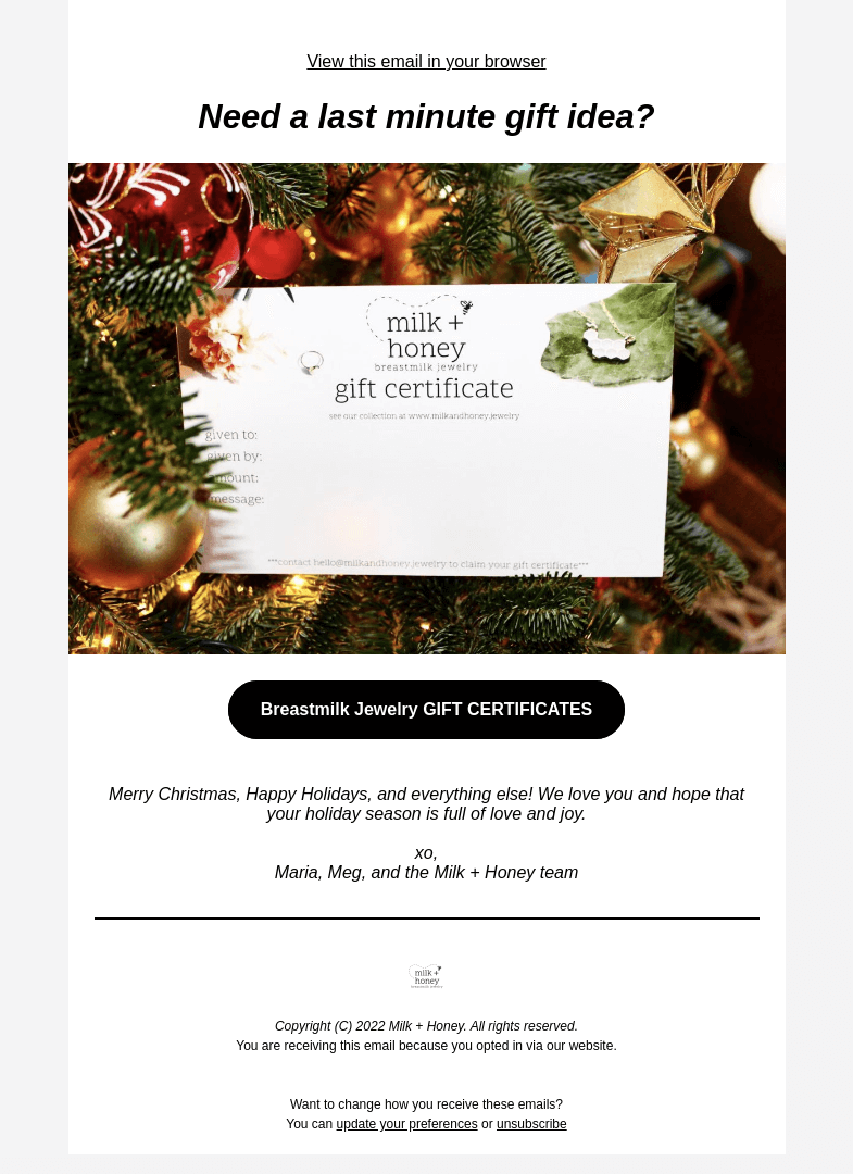 Письмо компании «Milk + Honey Jewelry» на тему «Last minute gift ideas...»