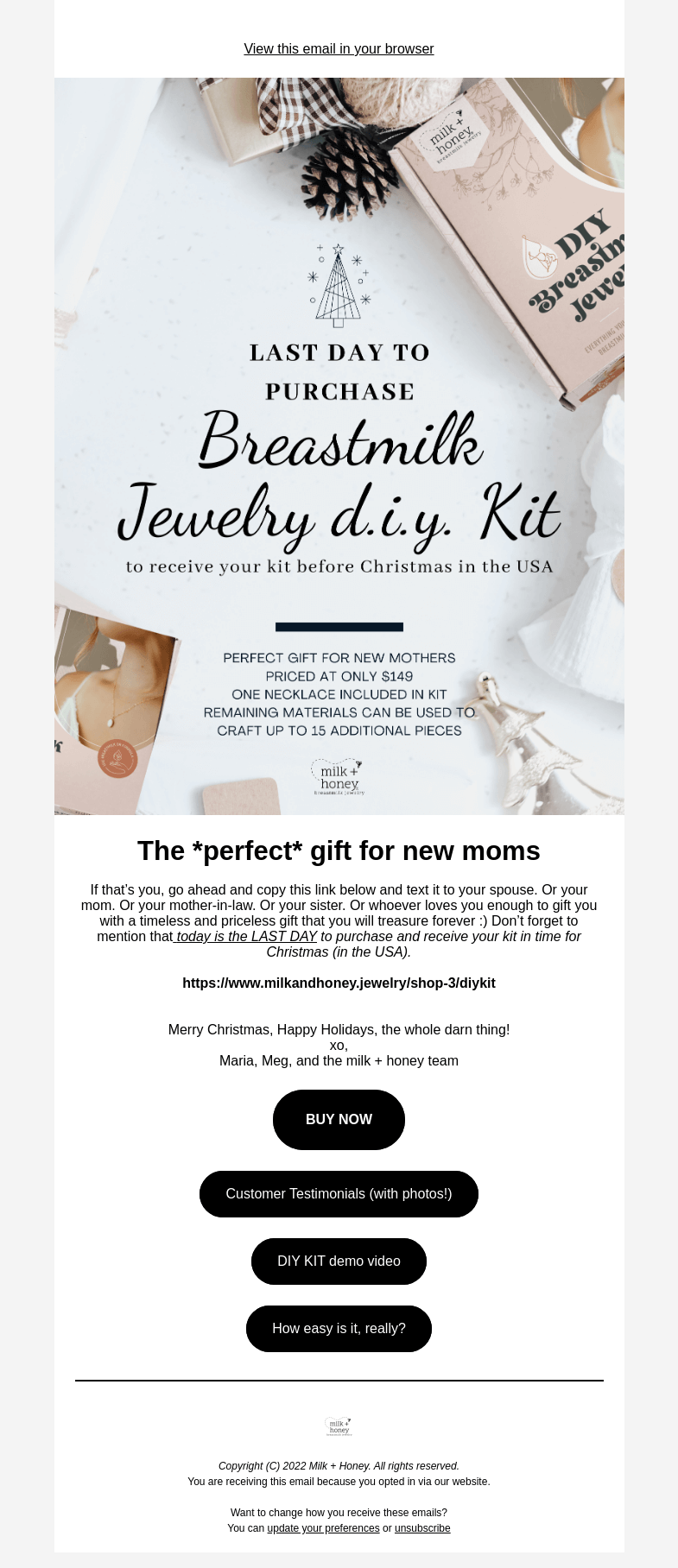 Письмо компании «Milk + Honey Jewelry» на тему «LAST DAY to receive DIY Kits by Christmas🎁»