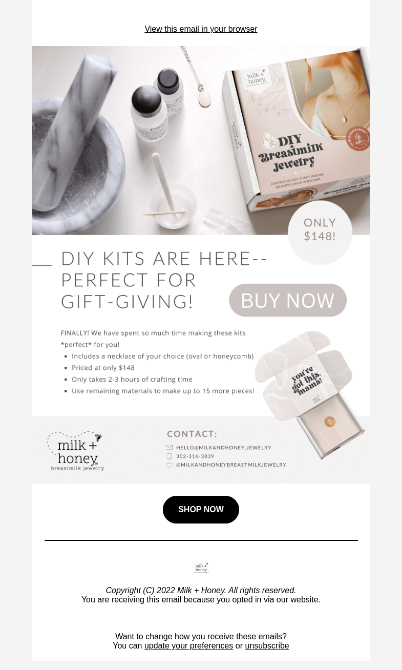 Письмо компании «Milk + Honey Jewelry» на тему «DIY Kits: The *perfect* gift idea»