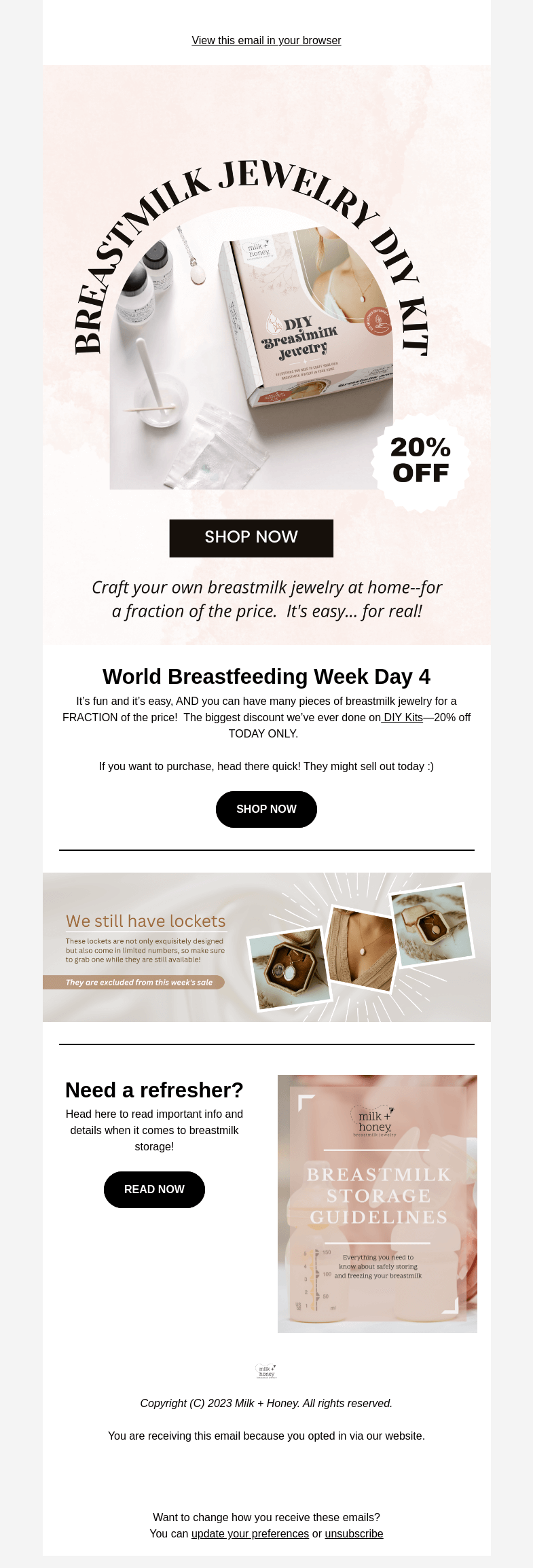 Письмо компании «Milk + Honey Jewelry» на тему «DIY Kits will go fast...»