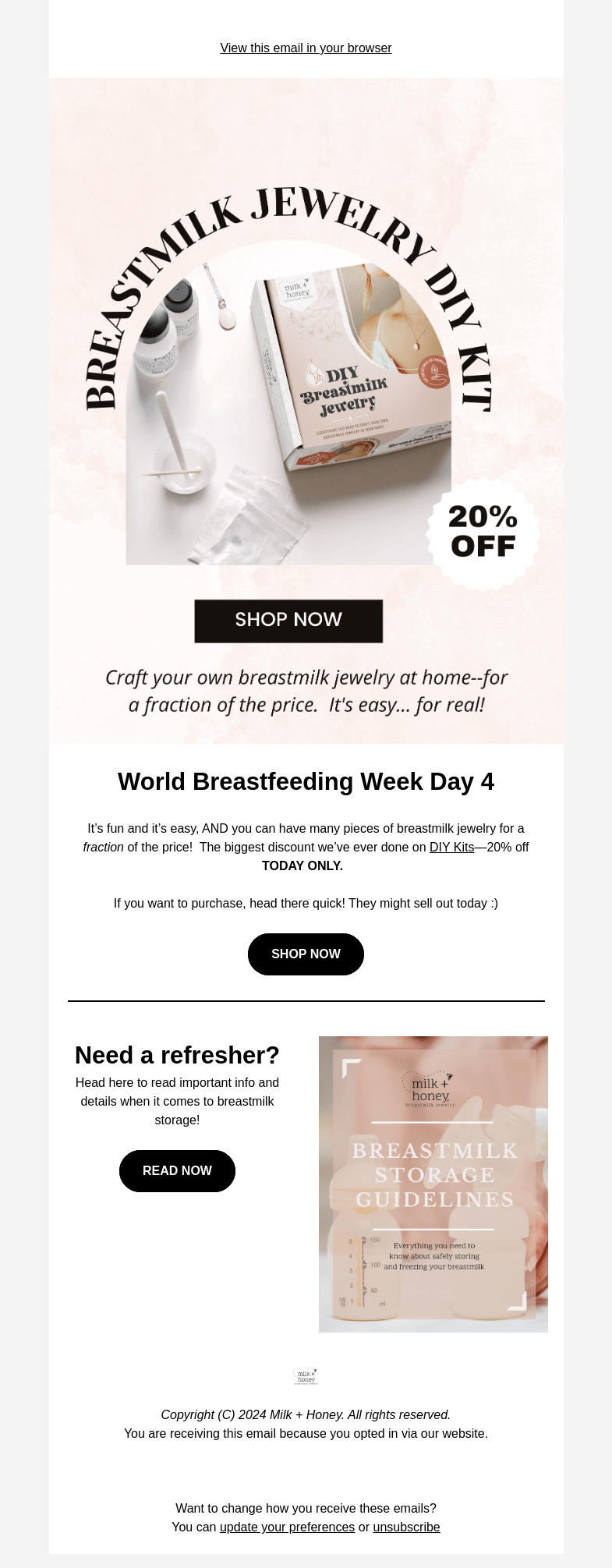 Письмо компании «Milk + Honey Jewelry» на тему «DIY Kits will go fast...»