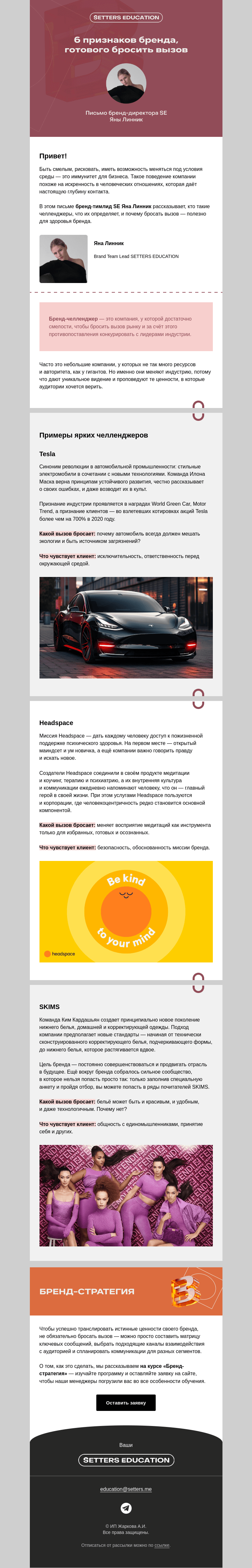 Письмо компании «SETTERS EDUCATION» на тему «Смелость как иммунитет: кто такие бренды-челленджеры?»