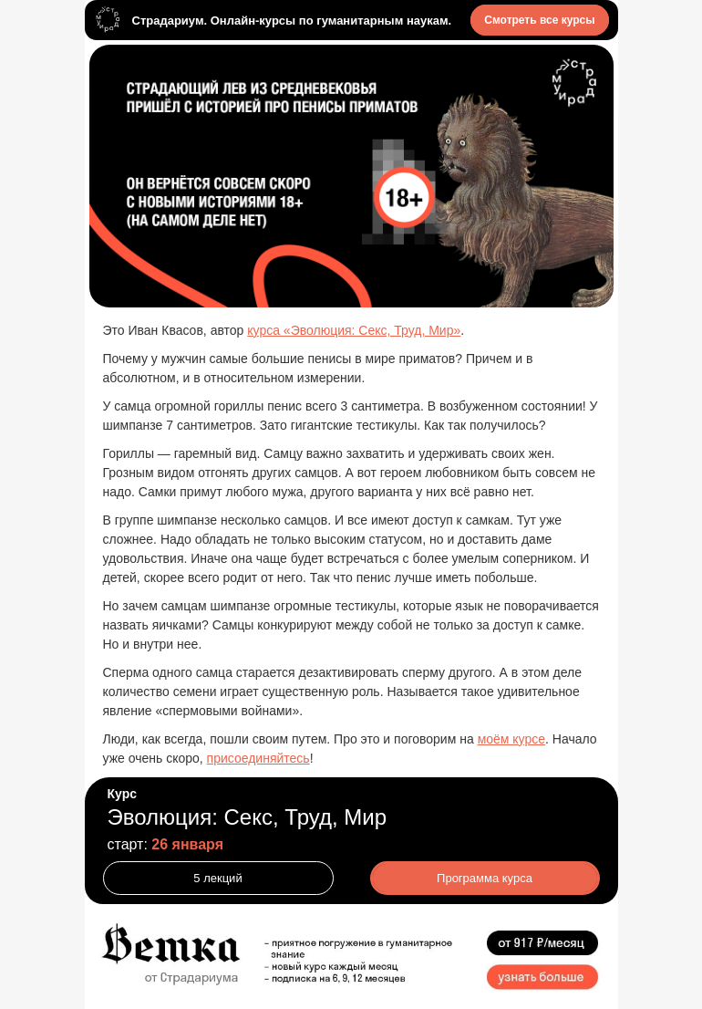 Письмо компании «Страдариум» на тему «Размер имеет значение?»