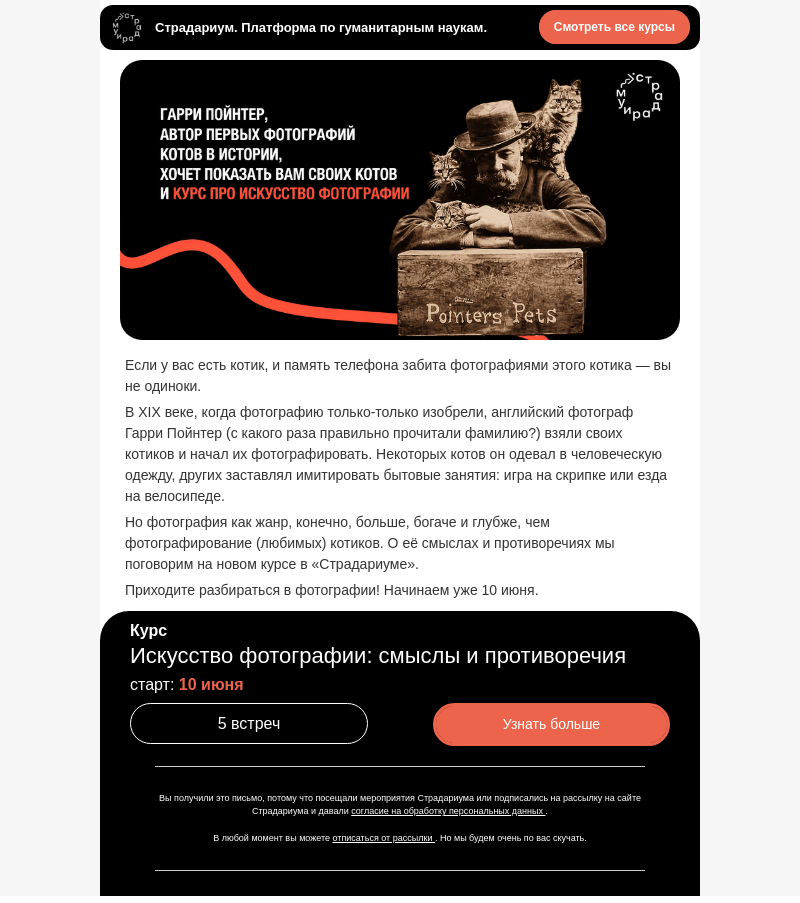 Письмо компании «Страдариум» на тему «Любите фотографии котиков? 😻»
