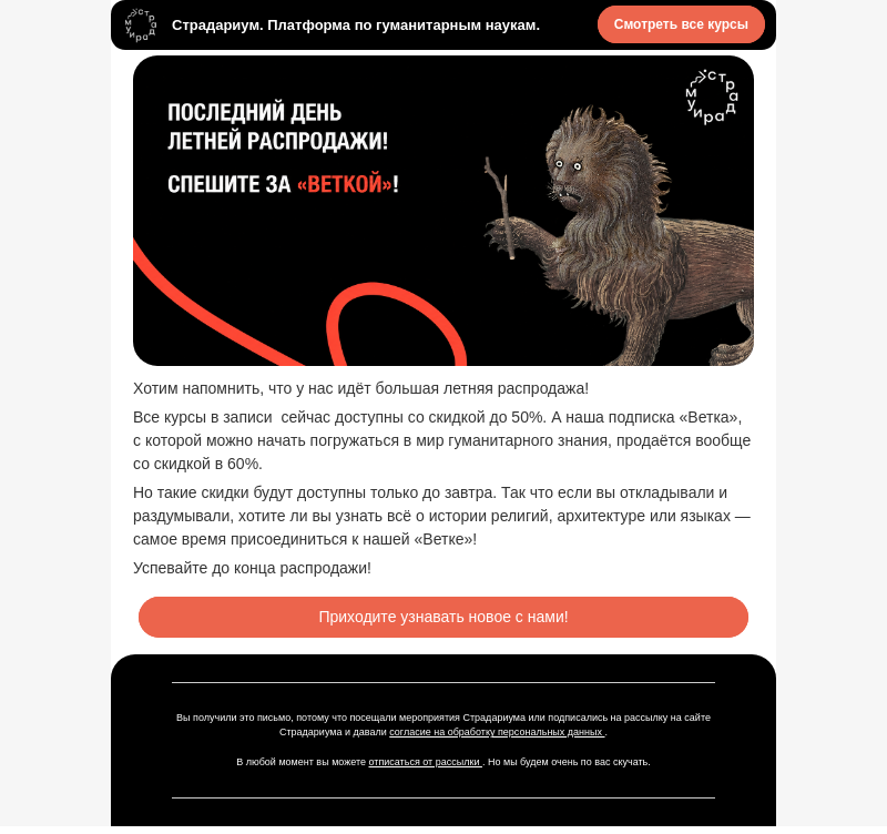 Письмо компании «Страдариум» на тему «Летняя распродажа заканчивается 🌴»