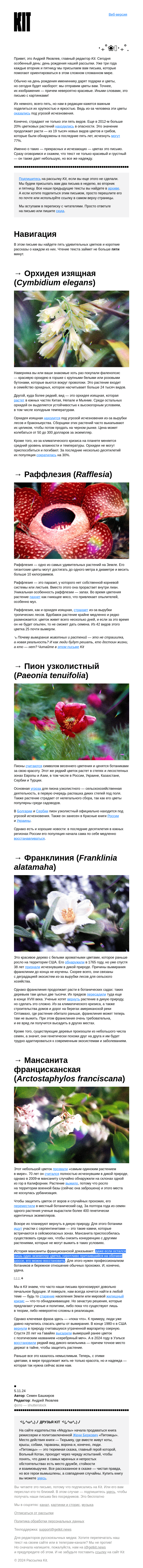 Письмо компании «Kit» на тему «Kit дарит вам цветы»