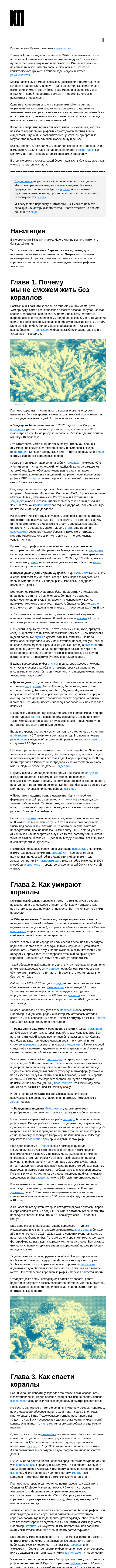 Письмо компании «Kit» на тему «➋➏🄌 Без кораллов не будет и людей. Письмо о красивых и хрупких существах под водой»
