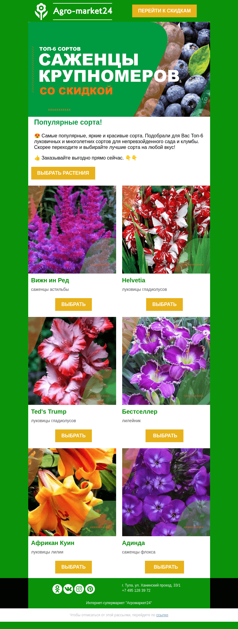Письмо компании «Agromarket24» на тему «🌸🔥 Луковичные и многолетние! Топ-6 сортов для яркой клумбы.»