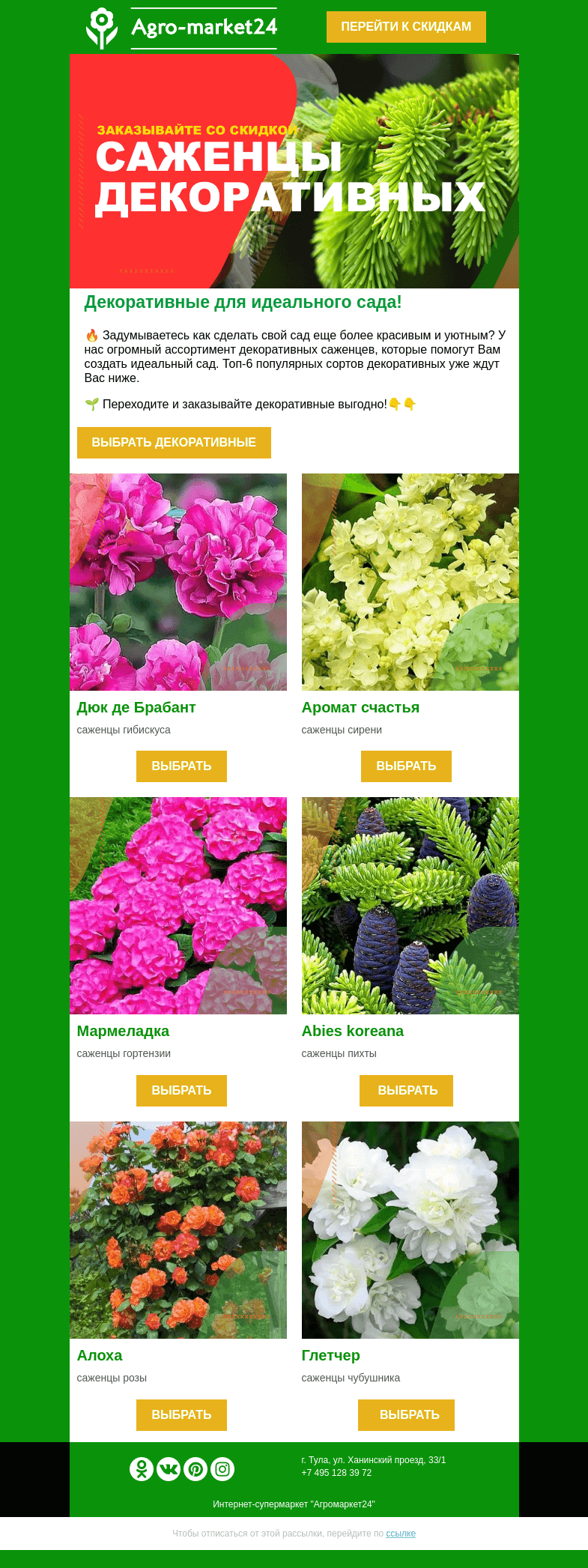 Письмо компании «Agromarket24» на тему «🌺😍  Декоративные для идеального сада! Переходите и заказывайте выгодно.»