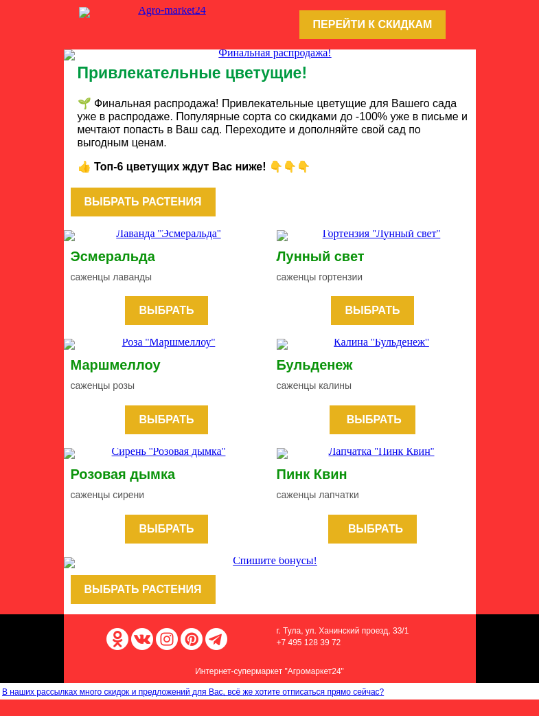 Письмо компании «Agromarket24» на тему «🔥🌱 Привлекательные цветущие! До -100% на популярные сорта.»