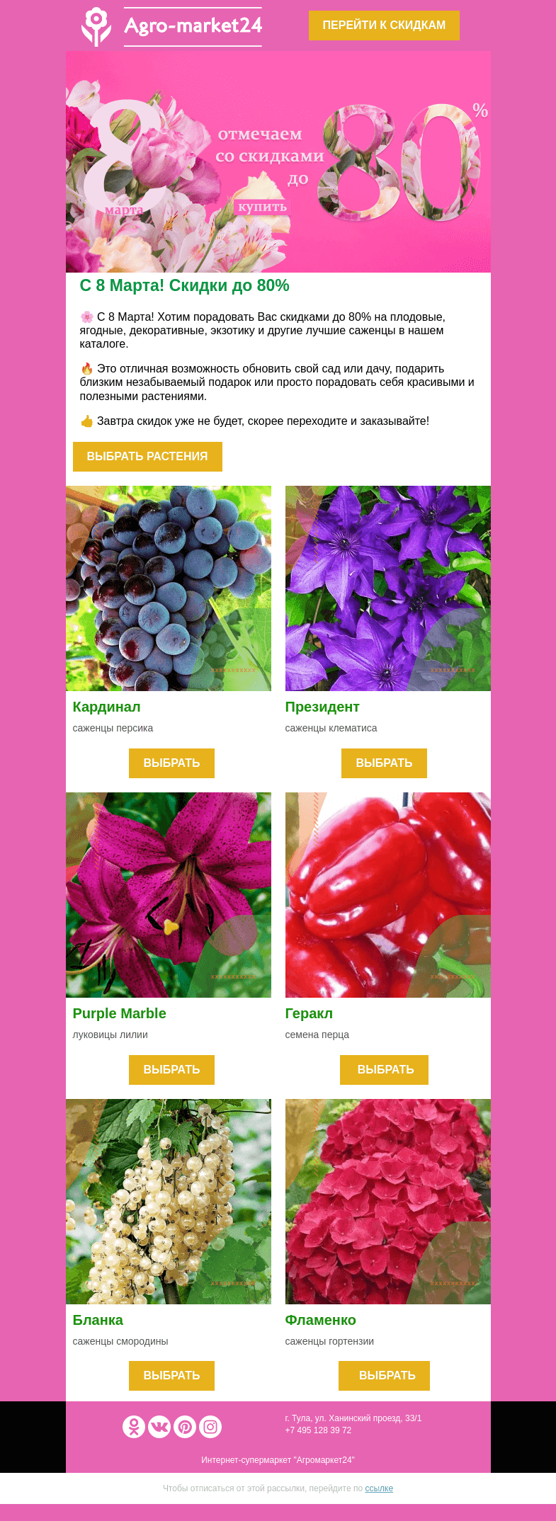 Письмо компании «Agromarket24» на тему «🌸🌱  Поздравляем с 8 Марта! Отмечаем со скидками до 80%.»