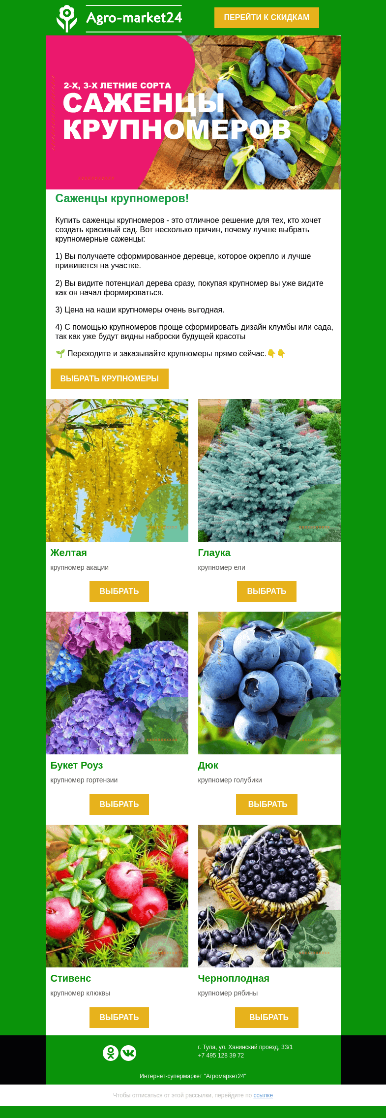 Письмо компании «Agromarket24» на тему «🌱👍 Саженцы крупномеров! Начните создавать красивый сад прямо сейчас.»