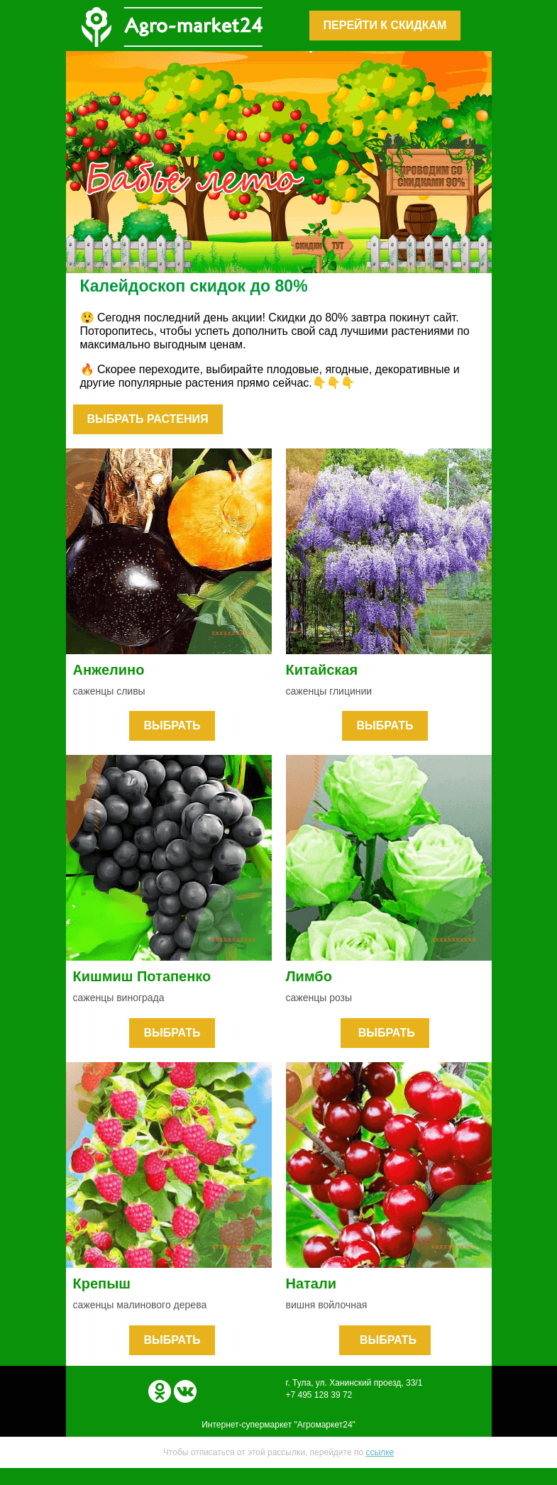 Письмо компании «Agromarket24» на тему «🔥🌱 Последний день акции! До 80% скидки на лучшие растения.»