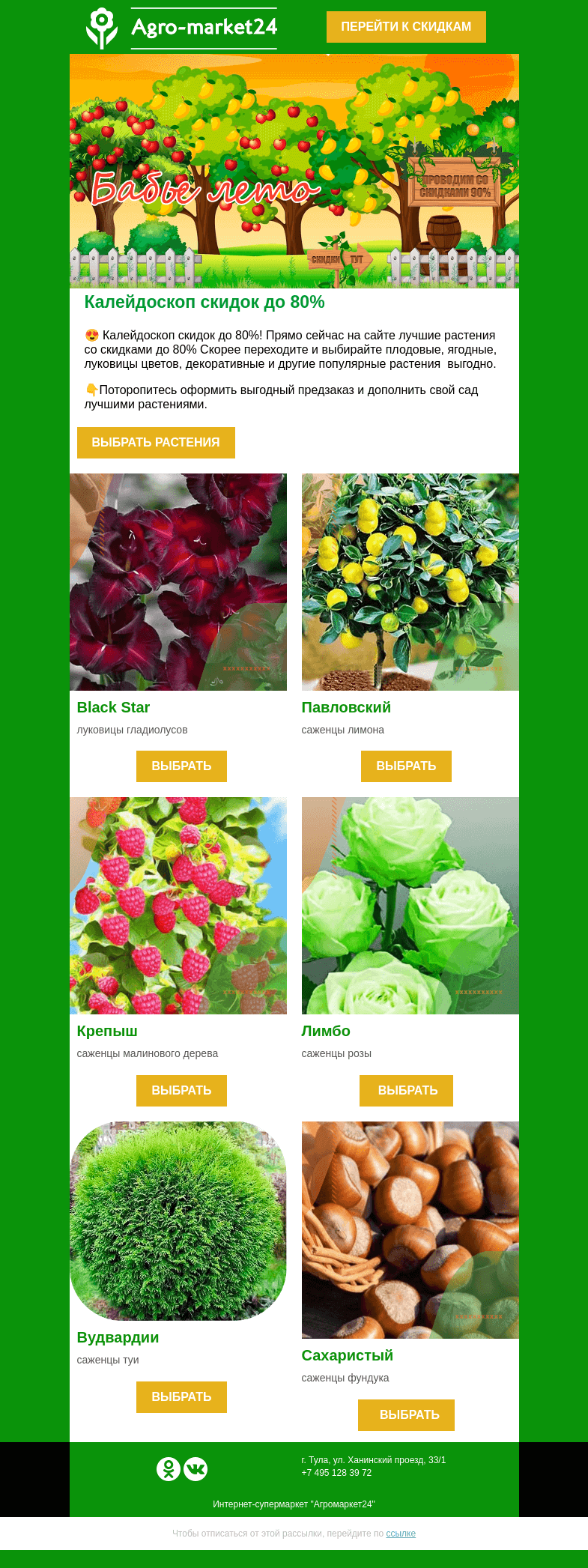 Письмо компании «Agromarket24» на тему «😱🌱 Калейдоскоп скидок! До -80% на лучшие растения.»