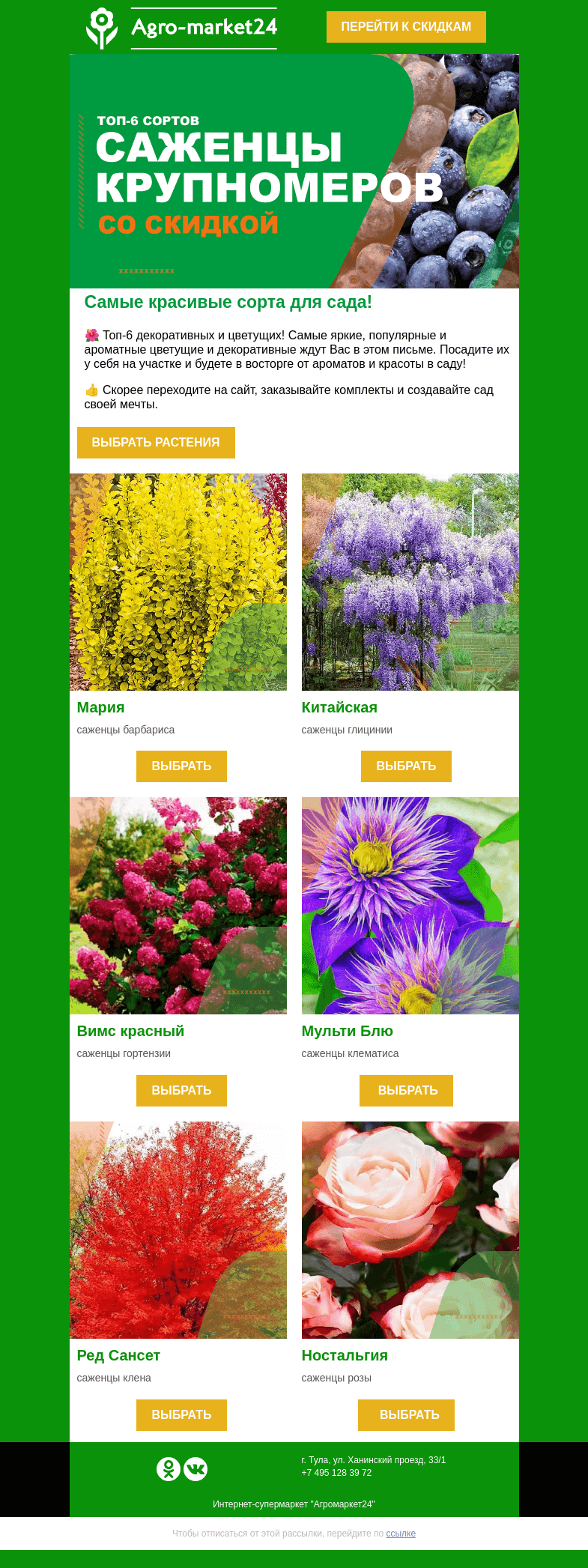 Письмо компании «Agromarket24» на тему «🌸🌲 Декоративные и цветущие! Топ-6 самых популярных сортов уже в письме.»