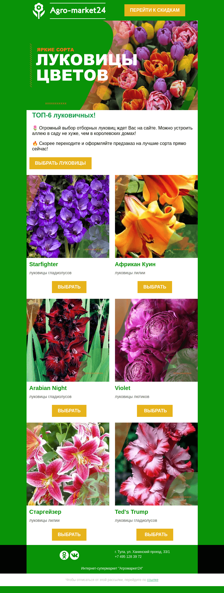 Письмо компании «Agromarket24» на тему «🌺🌱  Луковицы цветов! Топ-6 сортов для Вашей клумбы.»