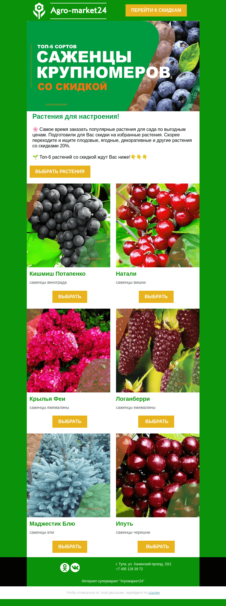 Письмо компании «Agromarket24» на тему «🔥🌱 Растения для настроения! 20% скидка на избранные сорта. »