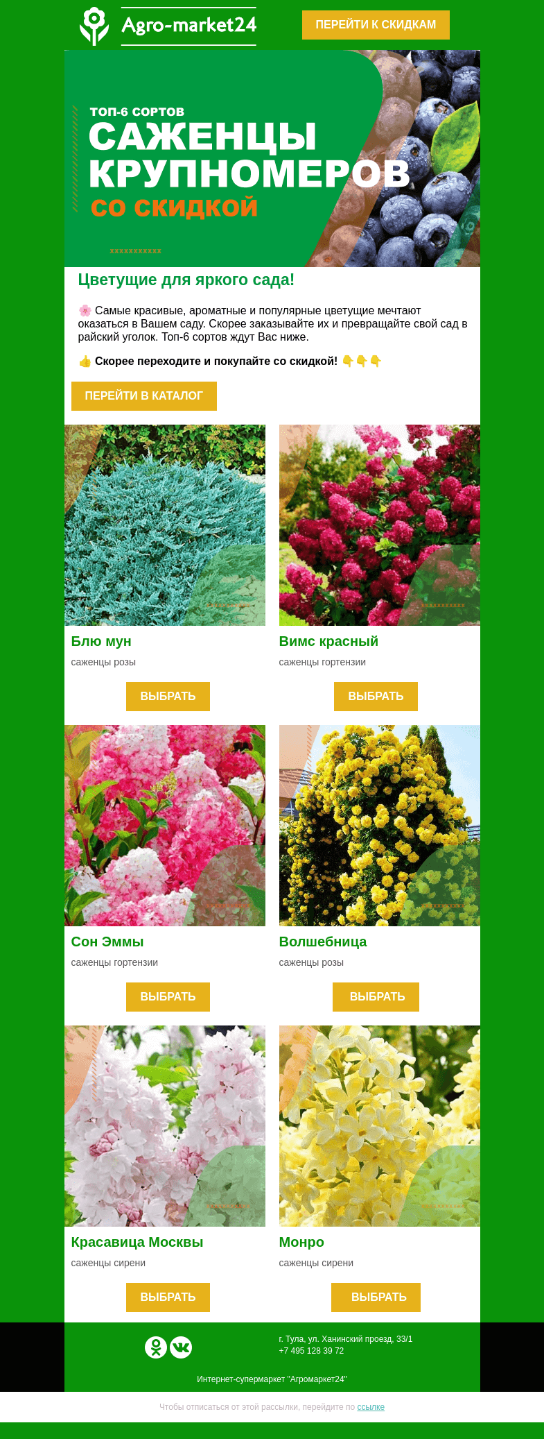 Письмо компании «Agromarket24» на тему «🌸😍 Привлекательные цветущие! Топ-6 сортов со скидкой.»