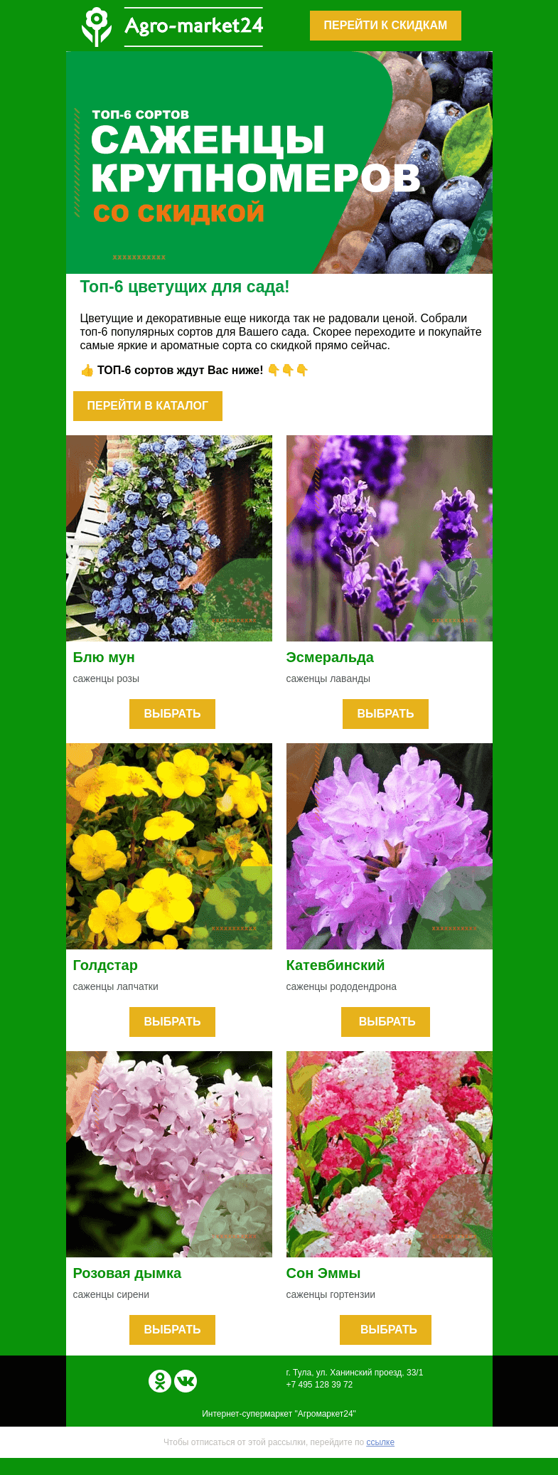 Письмо компании «Agromarket24» на тему «✨🌸ТОП-6 цветущих для идеального сада! Заказывайте выгодно сейчас.»