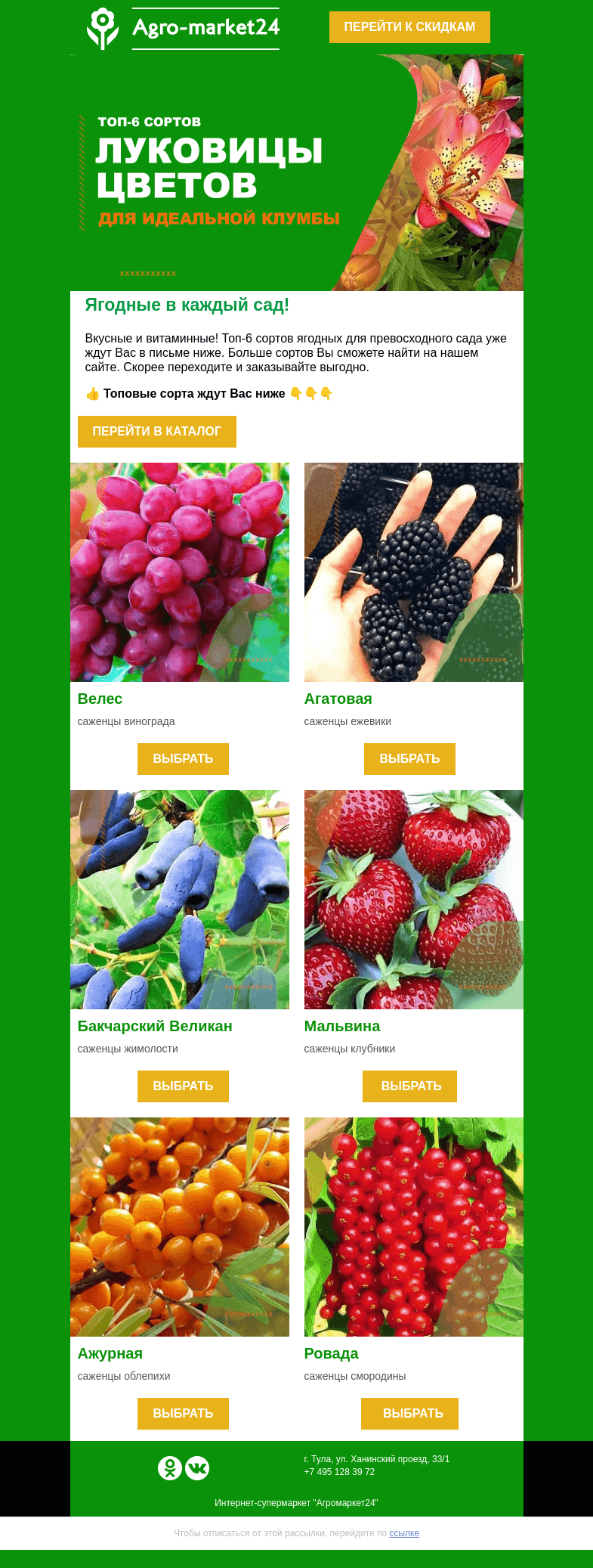 Письмо компании «Agromarket24» на тему «🔥🌱Топ-6 ягодных для идеального сада! Переходите и заказывайте.»