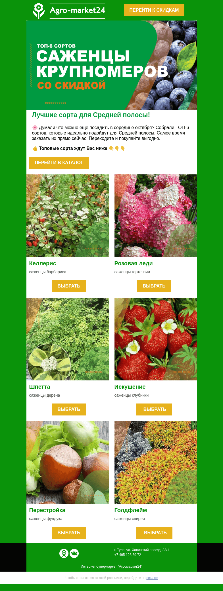 Письмо компании «Agromarket24» на тему «🔥🌱Что посадить в середине октября? ТОП-6 сортов уже ждут Вас в письме.»