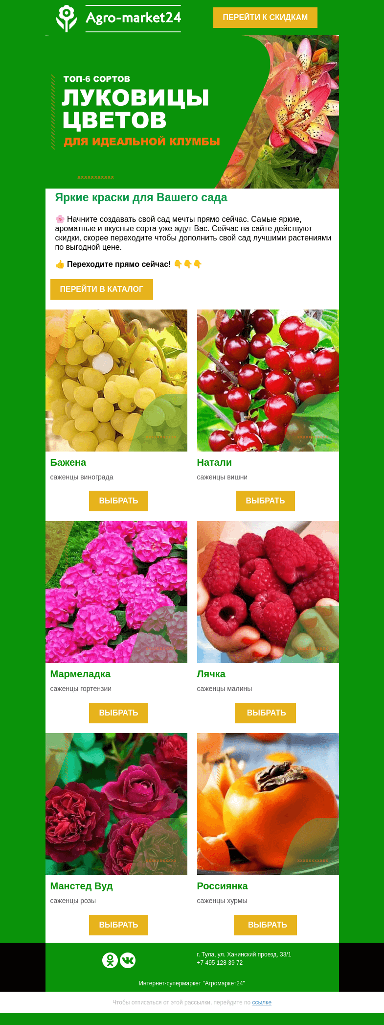 Письмо компании «Agromarket24» на тему «😍 Яркие и популярные! Топ 6 сортов для Вашего сада.»